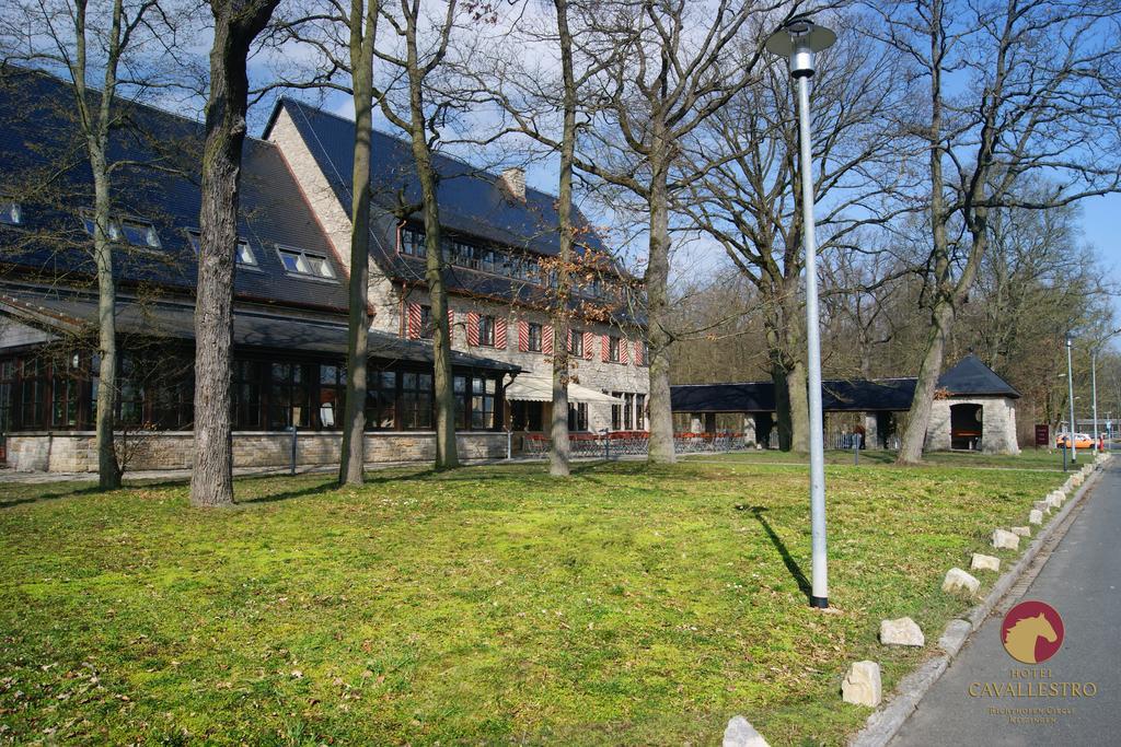 Cavallestro Classic Kitzingen Bagian luar foto